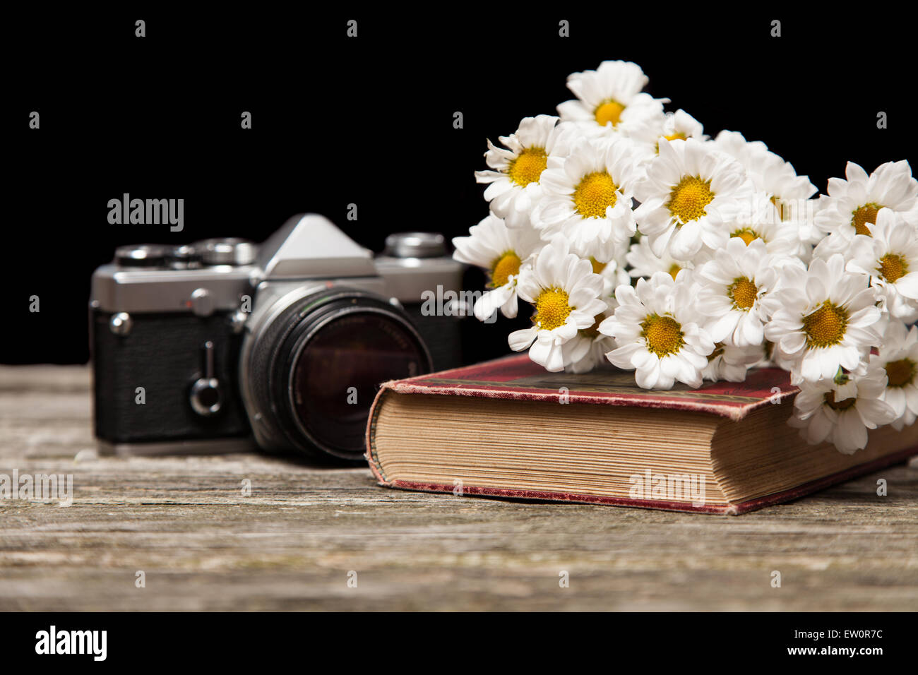 Fotokamera, Gänseblümchen und ein Buch Stockfoto