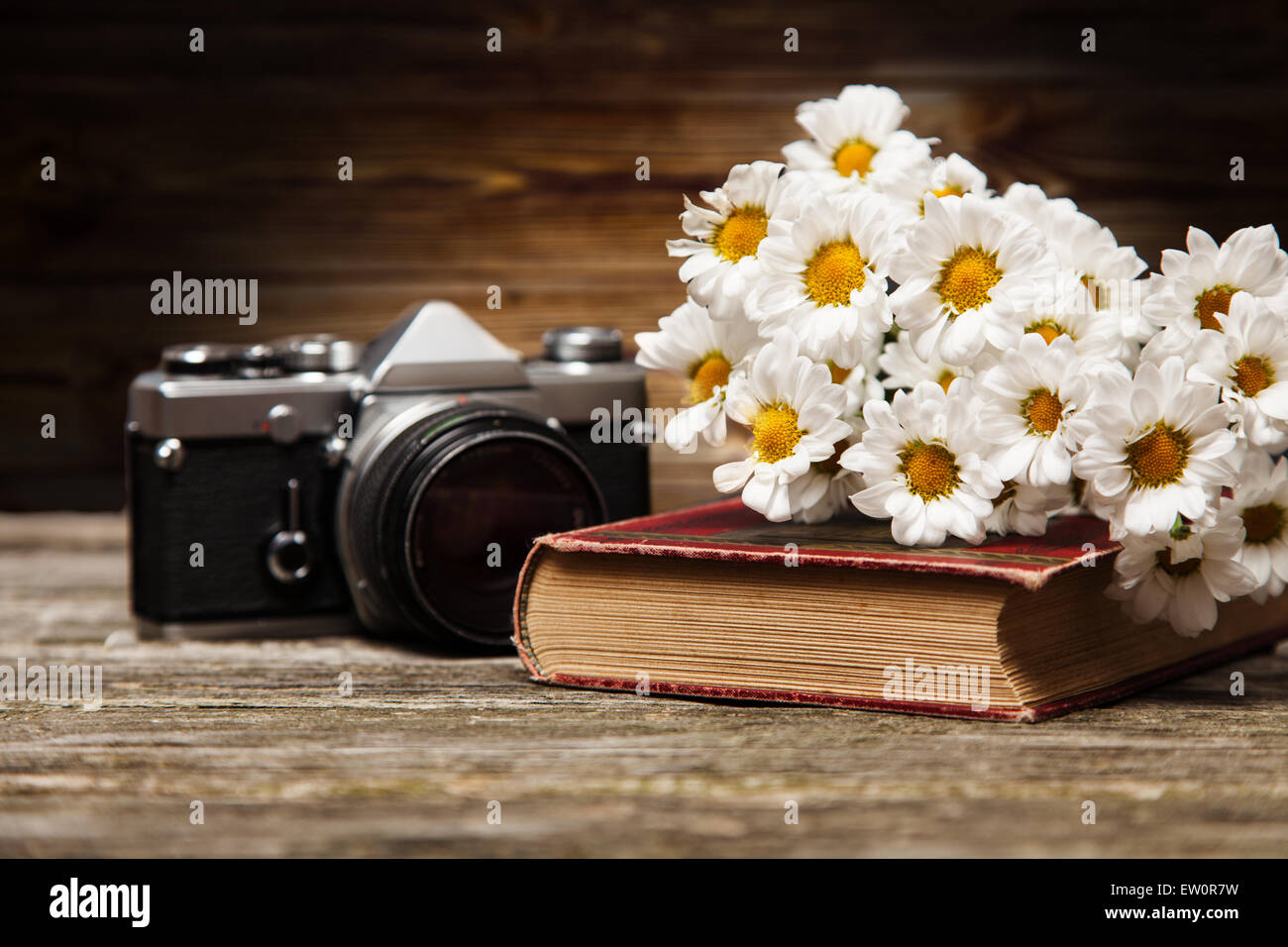 Fotokamera, Gänseblümchen und ein Buch Stockfoto