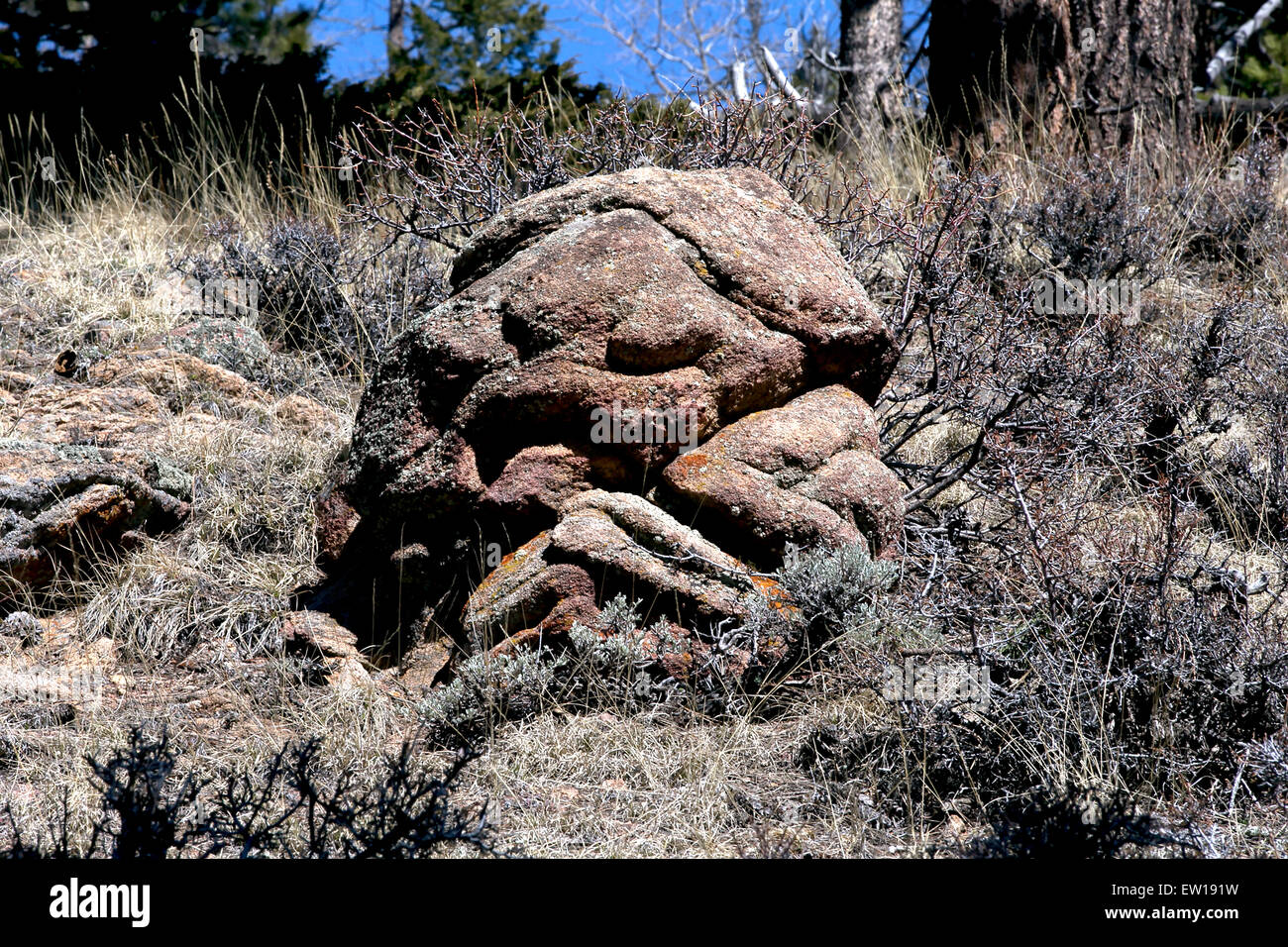 Seltsam geformte Felsformation entlang Hirsch Bergweg in Colorado. Stockfoto