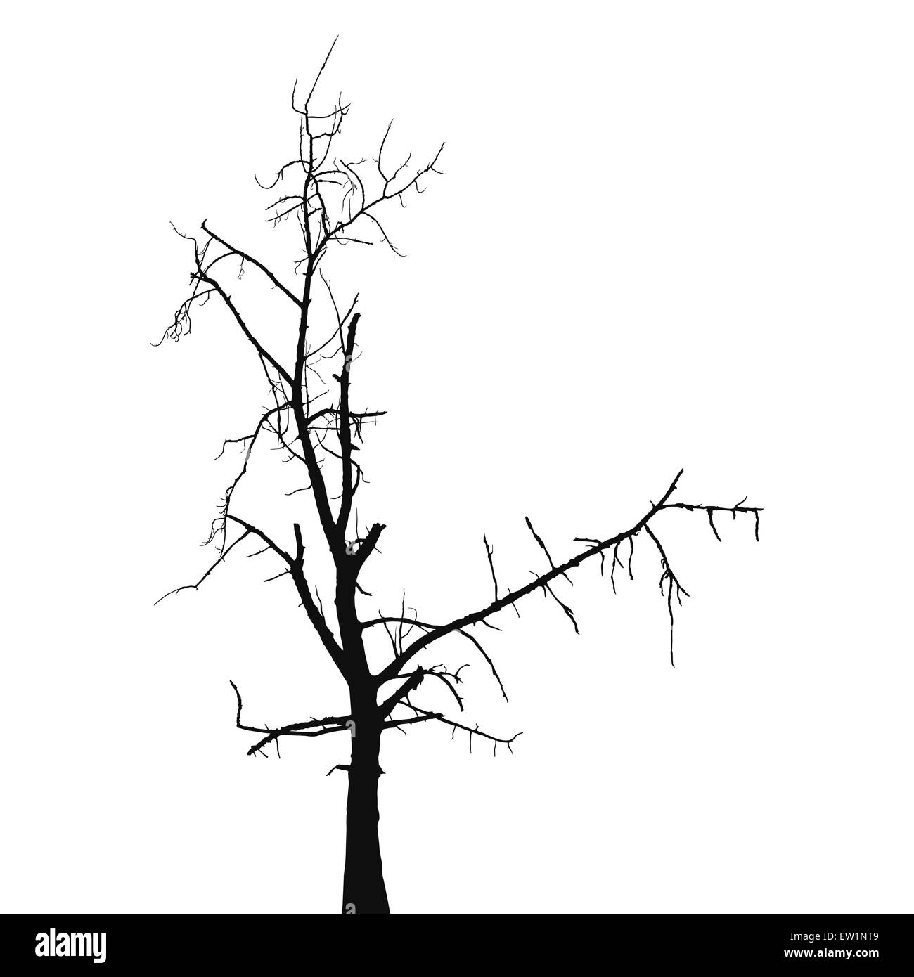 Alten trockenen Baum Silhouette Stock Vektor