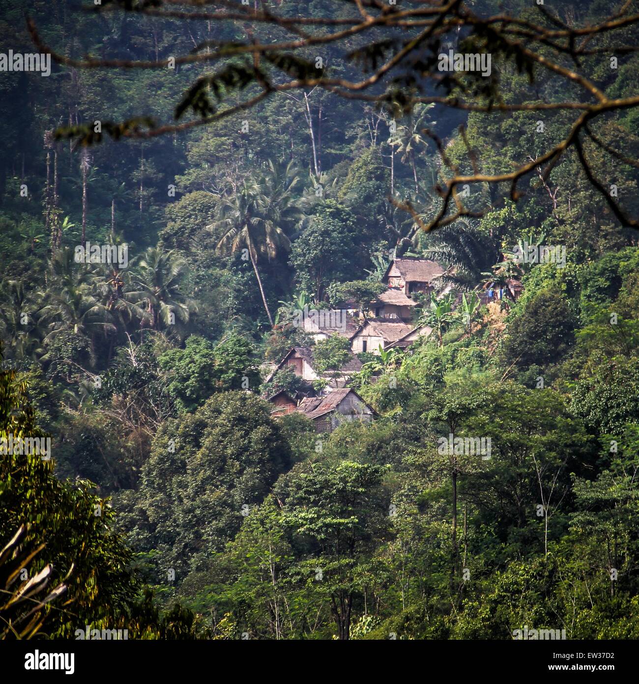 Eine Gesamtansicht der Häuser des traditionellen Baduy Stammes in den hügeligen Waldgebiet des Gebirges in Banten. Rund 12.000 Baduy Stammesangehörigen bewohnen die 5.000 Hektar tropischen Waldreservat, bekannt als "Baduy Land". Die Baduy-Gemeinschaft hat auch eine Religion, die "Sunda Wiwitan" (The Early-Sunda) genannt wird. Es ist nicht Hinduismus, Buddhism, Christentum oder Islam, sie sind sehr treu dem Allmächtigen Gott "Batara Tunggal". Ihre Harmonie mit der Natur und ihren Glauben, ihre traditionelle Religion erfolgreich helfen ihnen bei der einfachen und bescheidenen Lebensweise führen. In ihrem täglichen Kampf, t zu bewahren Stockfoto