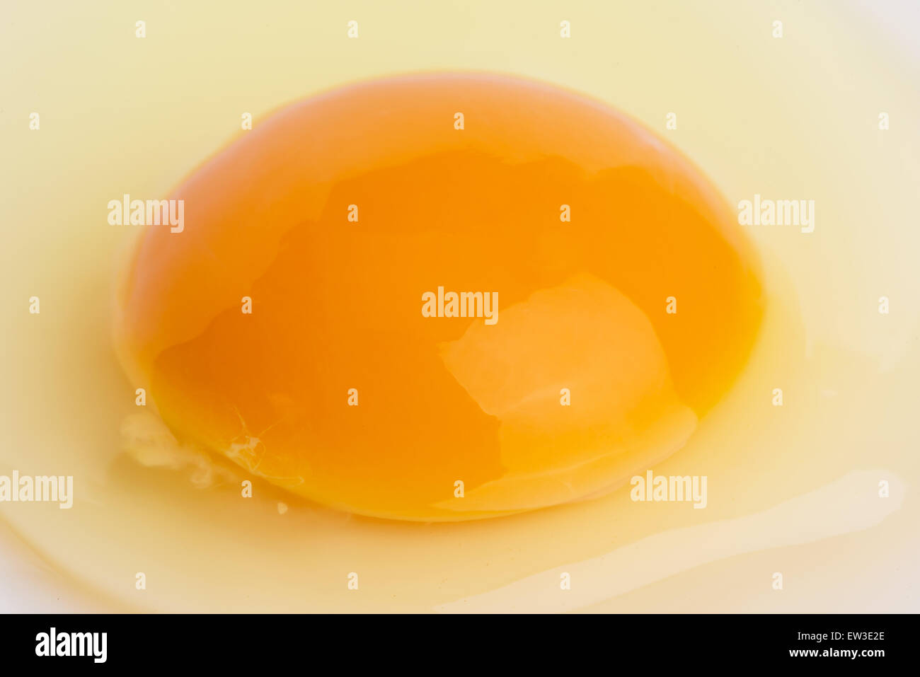 rohes Ei mit einem ganze Eigelb auf weißem Hintergrund Stockfoto