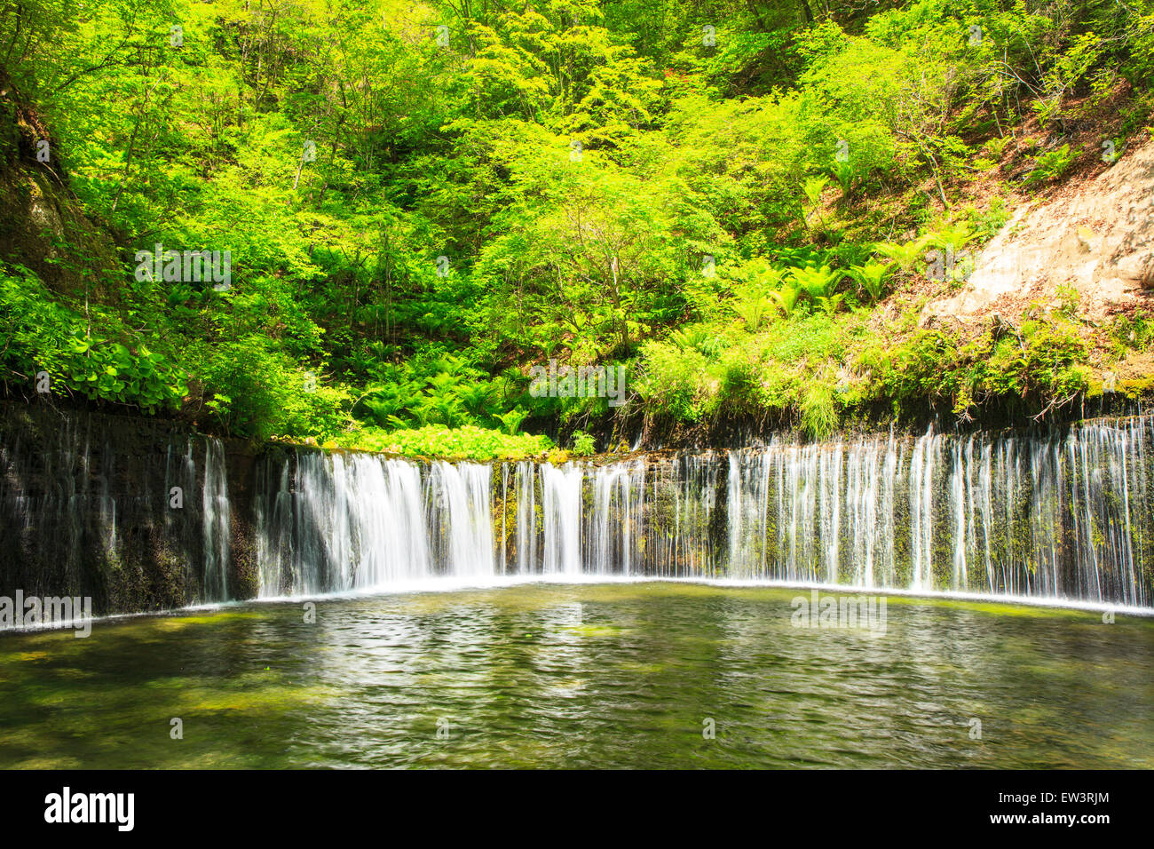 Karuizawa Shiraito Wasserfall, Nagano, Japan Stockfoto