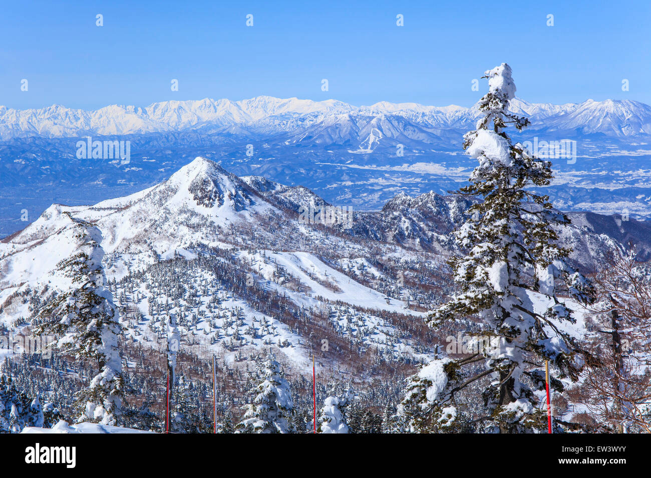 Shiga Kogen Resort im Winter, Nagano, Japan Stockfoto