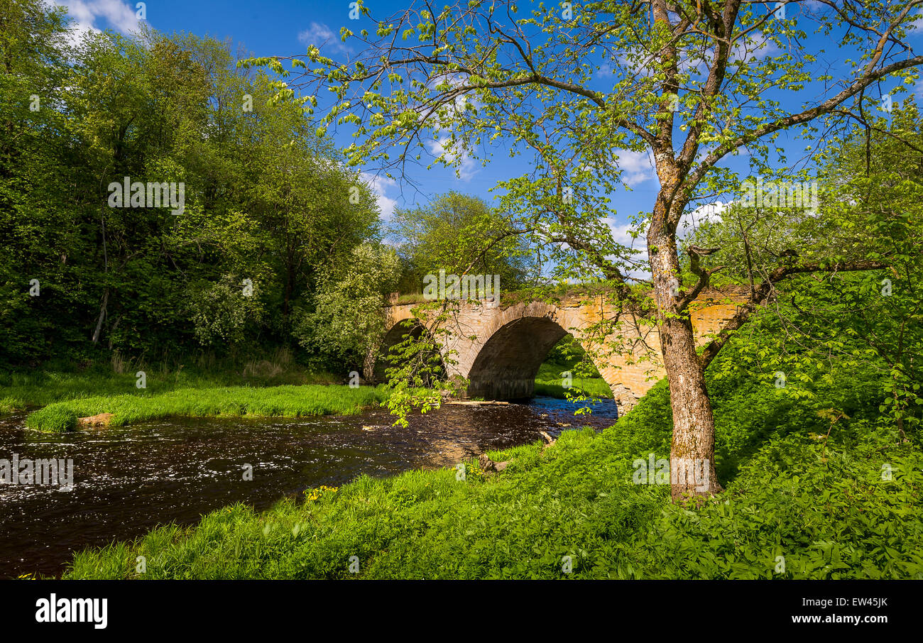 Alte Bogenbrücke Stockfoto