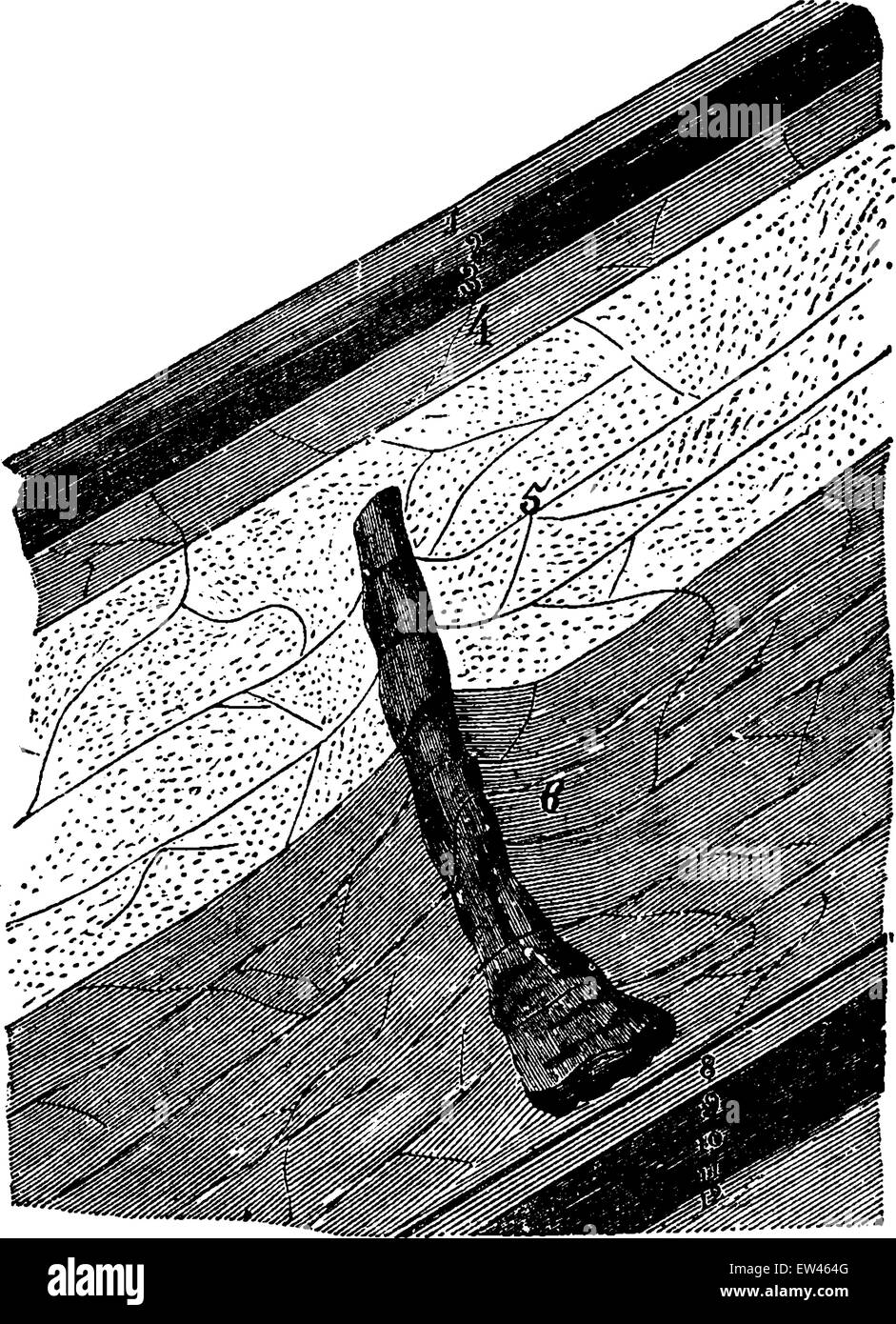 Fossiler Bäume hat 217 Meter tief (Anzin Minen), Vintage gravierten Abbildung gefunden. Geschichte Frankreichs – 1885. Stock Vektor