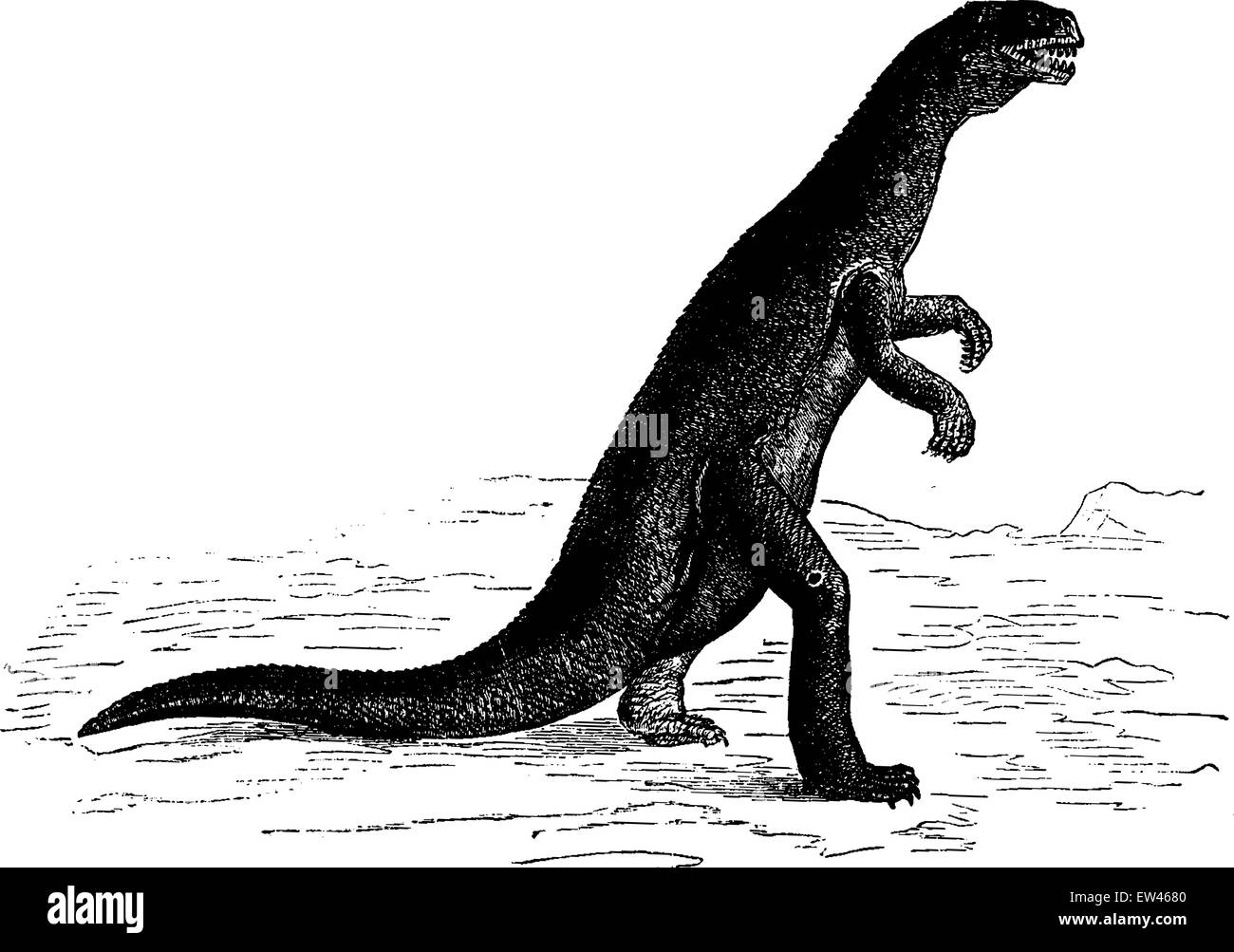 Die Zanclodon eingraviert Dinosaurier Trias Alter (Europa), Vintage Illustration. Erde vor den Menschen – 1886. Stock Vektor