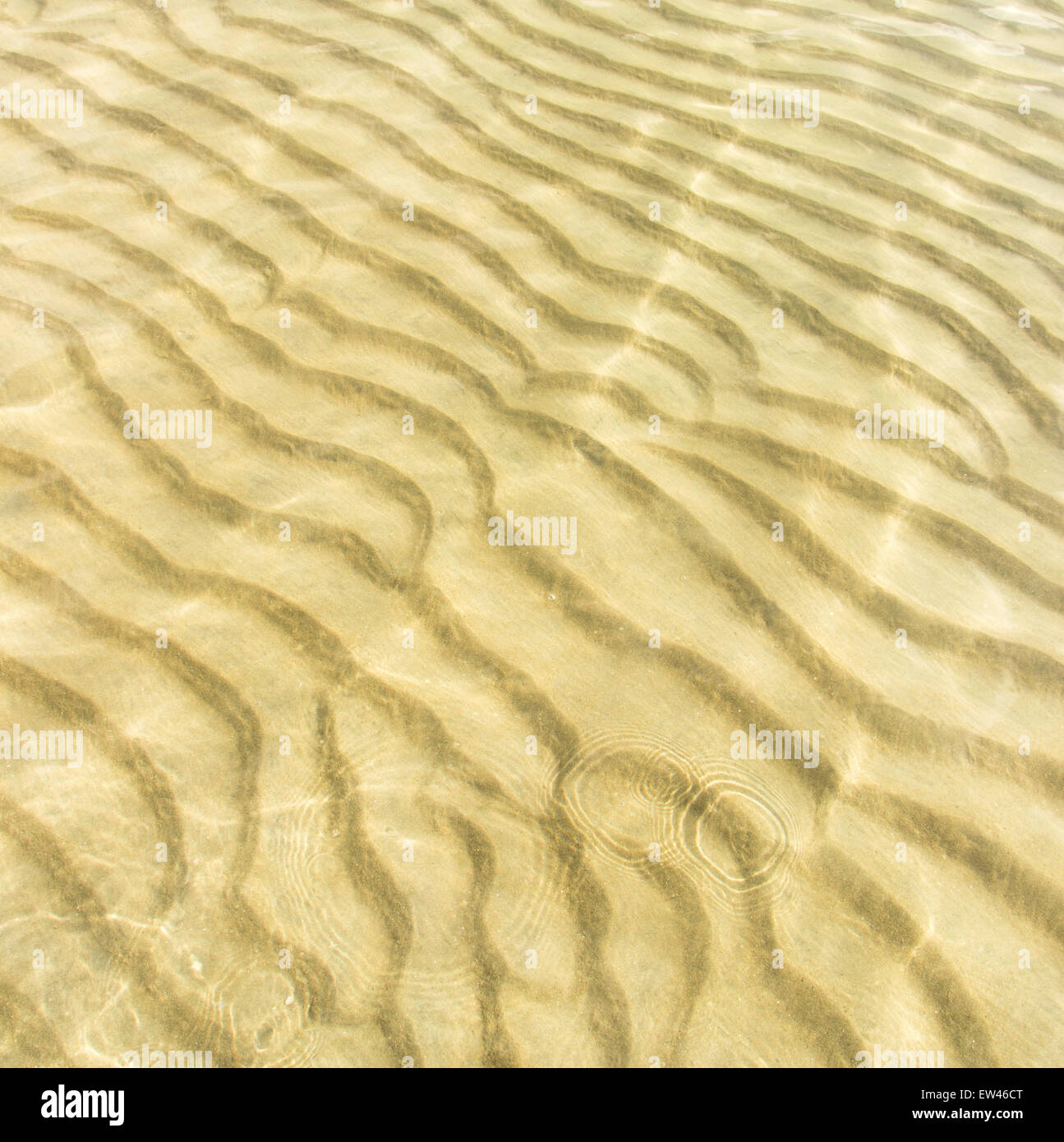 transparentes Wasser plätschern, Sand Wellen und Sonnenlicht blendet. Meeresboden Muster Stockfoto