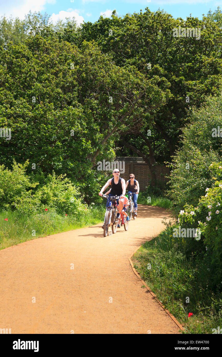 Eine Familie von Radfahrern Reiten auf einem Radweg in der Sommersonne Stockfoto