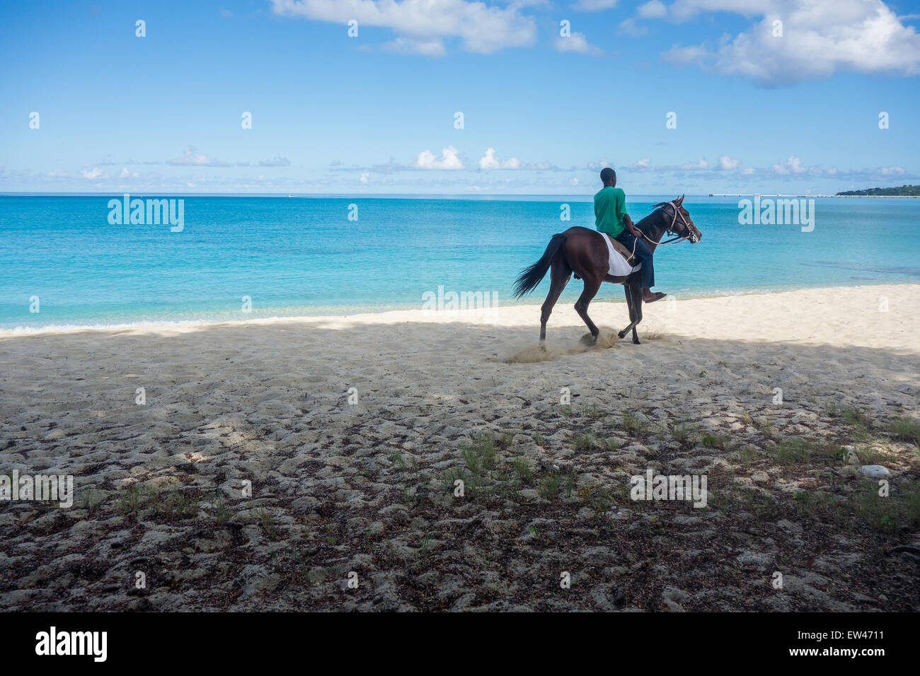 Eine native Karausche oder Cruzan, reitet seinen Hengst Pferd auf Sandcastle Strand in St. Croix, Amerikanische Jungferninseln. Stockfoto