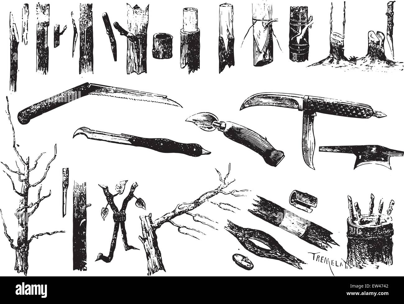 Pfropfen und Pfropfung Messer, graviert Vintage Illustration. Stock Vektor