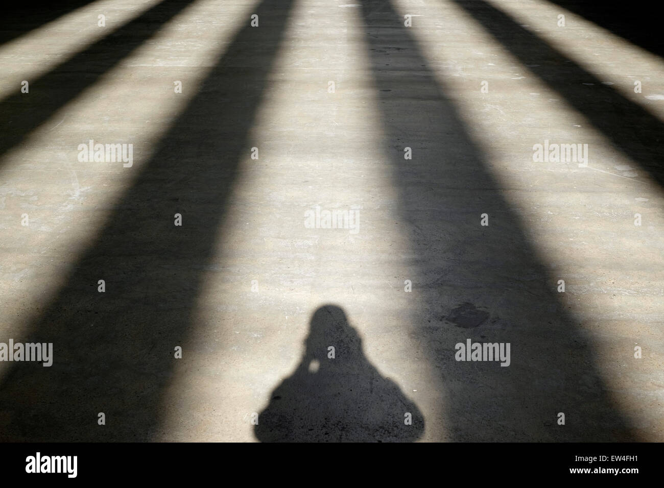 Selbstportrait im Schatten Stockfoto