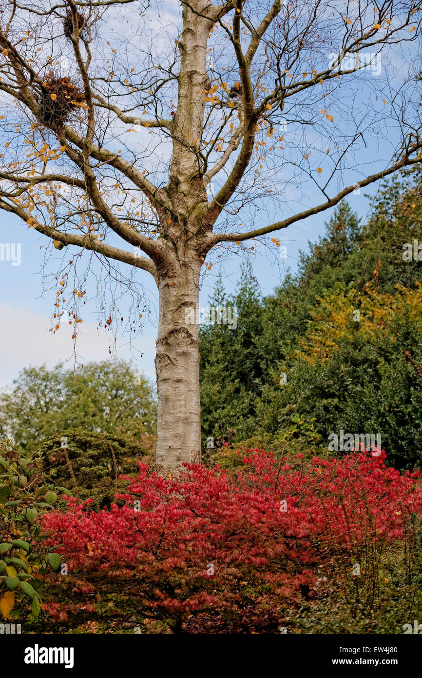 Ness Botanic Gardens befinden sich in der Nähe der englischen und walisischen Grenze in Cheshire, in der Nähe der Stadt Chester. Stockfoto