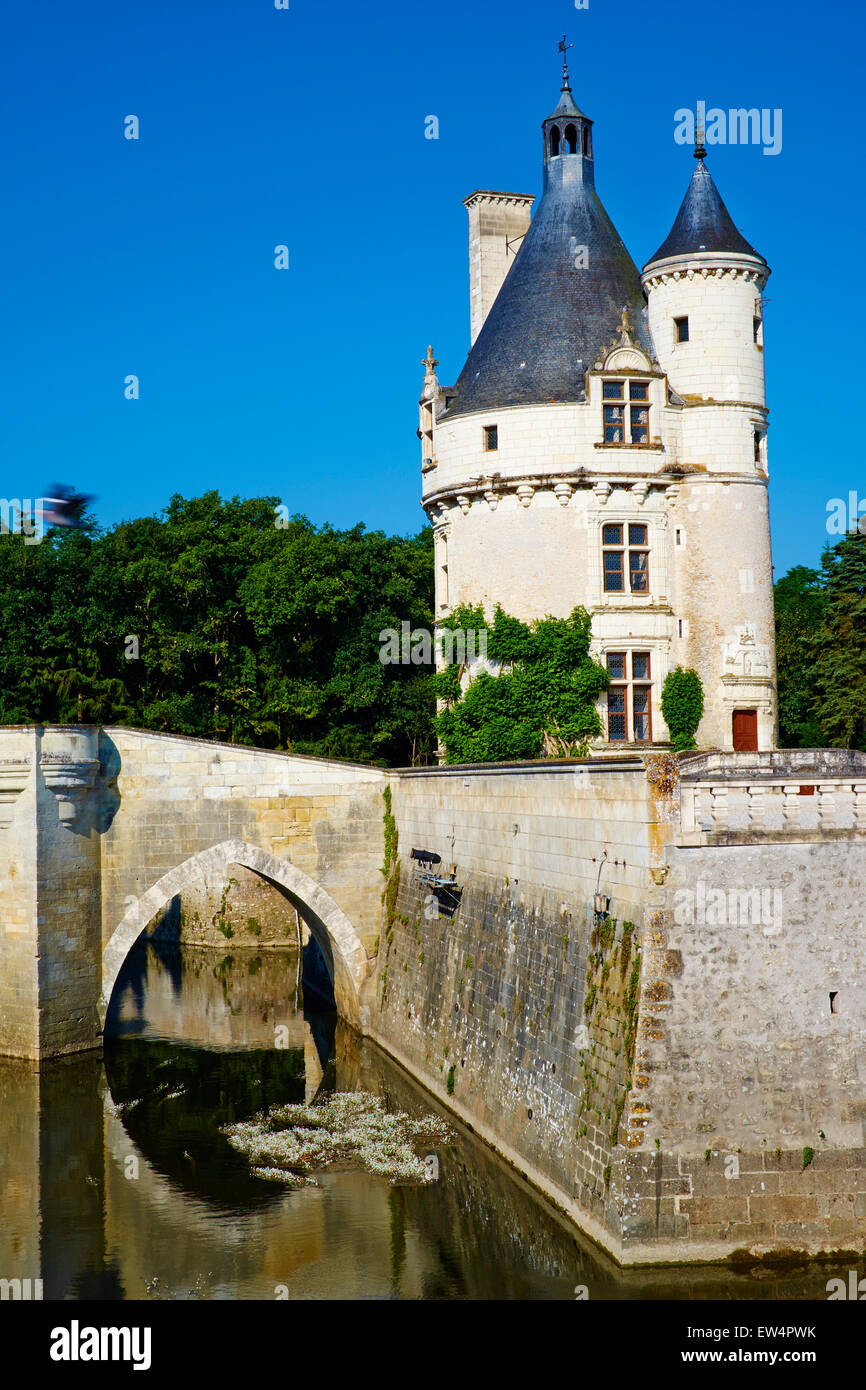 Frankreich, Indre-et-Loire, Schloss Chenonceau und den Fluss Cher Stockfoto