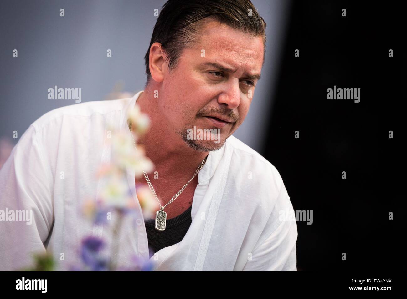 Faith No More Höchstleistungen Pinkpop Festival 2015 in Landgraaf Niederlande © Roberto Finizio/Alamy Live News live Stockfoto