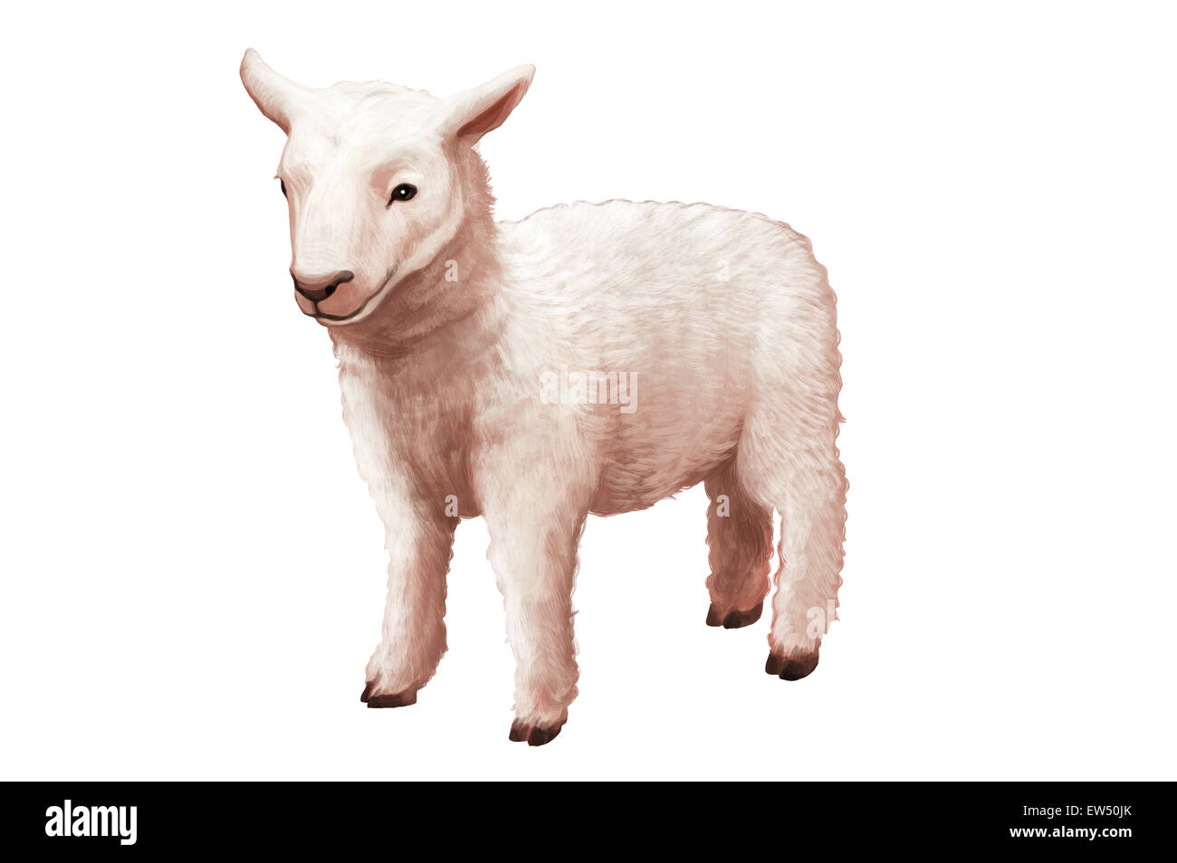 Schafe, Illustration-Technik, Stockfoto