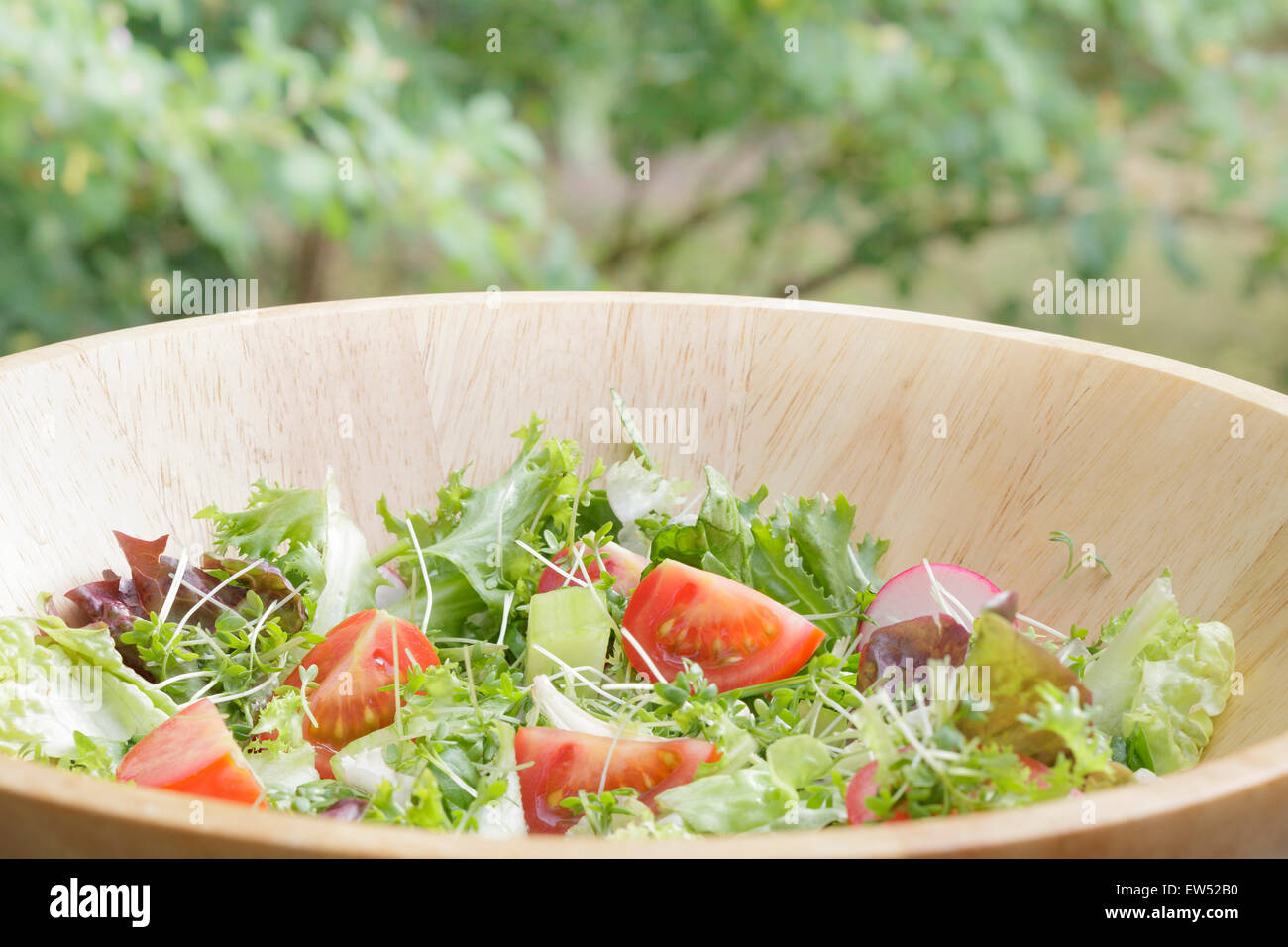 Schüssel Salat außerhalb Stockfoto