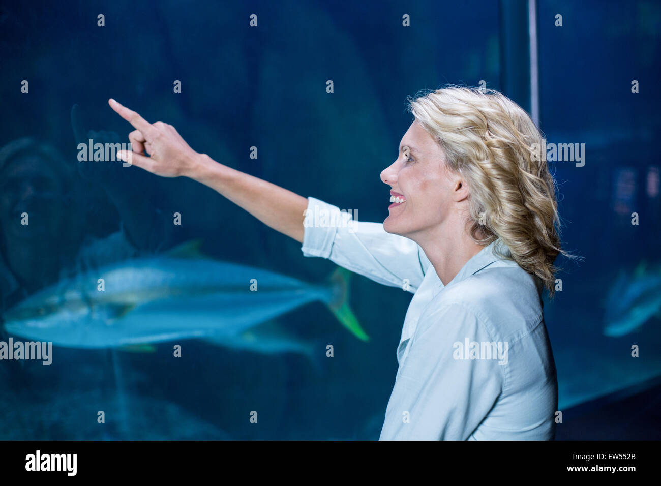 Hübsche Blondine zeigt ein Aquarium Stockfoto