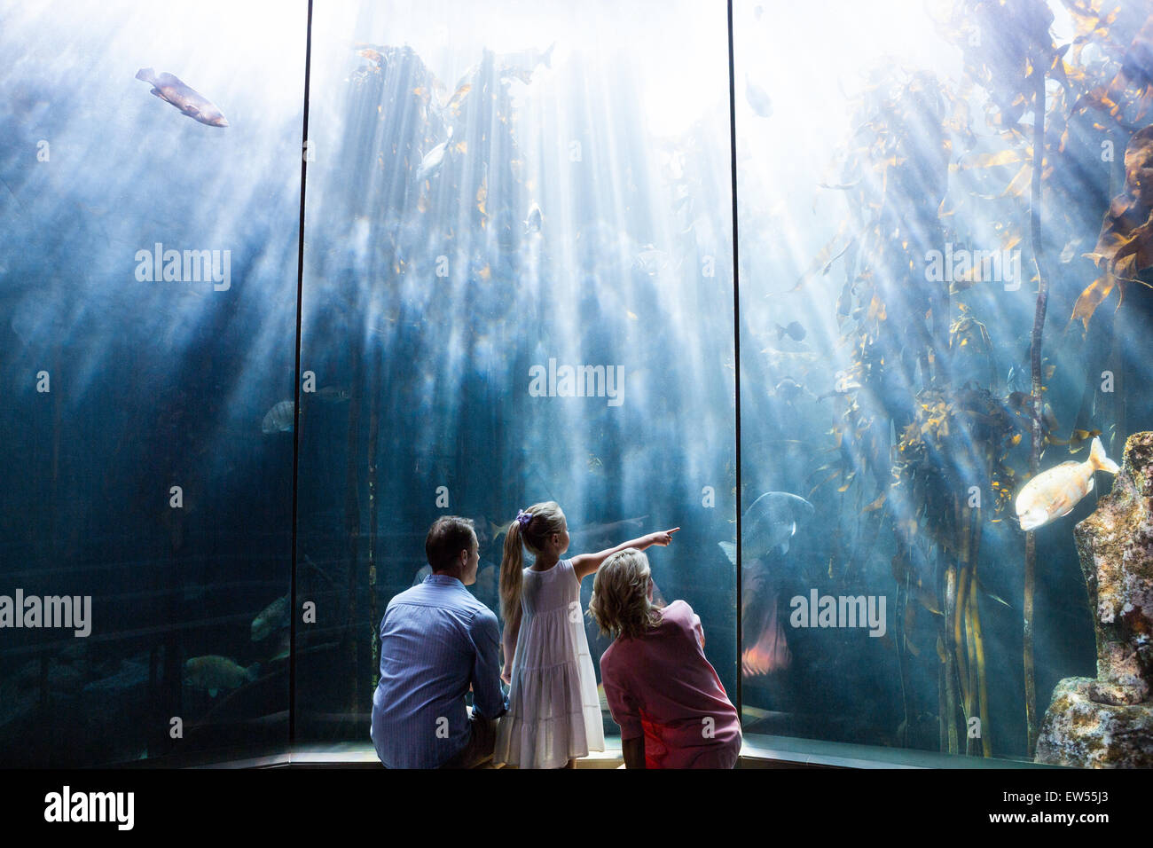 Tochter zeigt einen Fisch, während ihre Mutter und Vater Aquarium betrachten Stockfoto