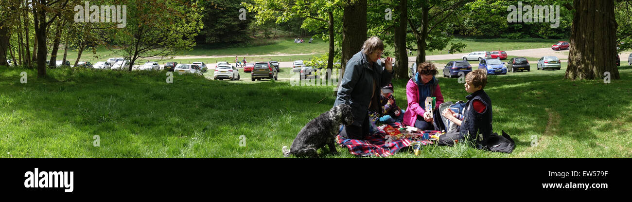 Familien-Picknick Stockfoto