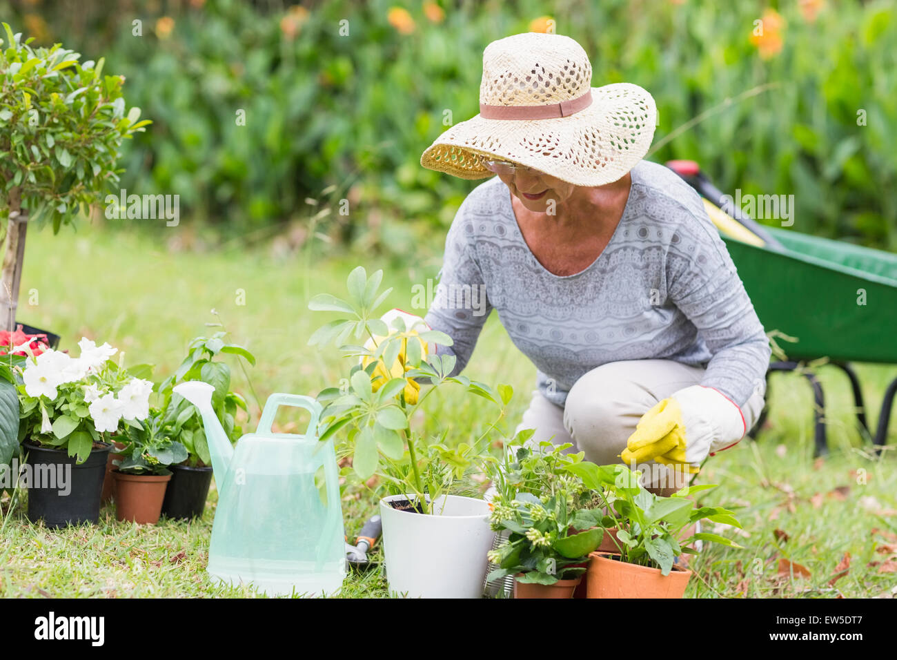 Grandmother gardening Fotos und Bildmaterial in hoher Auflösung Alamy
