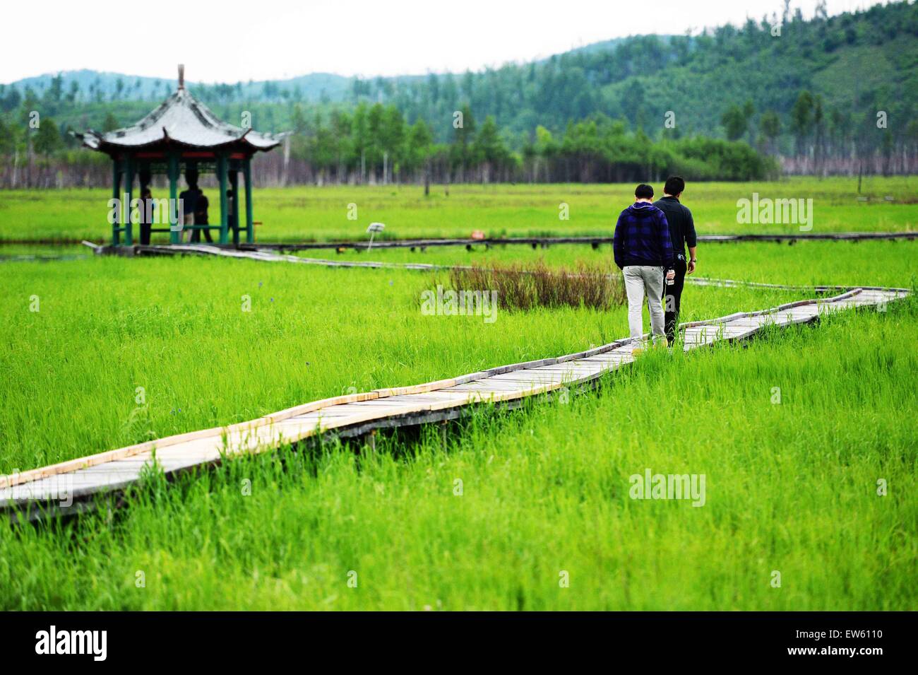 (150618)--NANWENG Fluss, 18. Juni 2015 (Xinhua)--Journalisten arbeiten am Nanweng River National Nature Reserve, Nordost-China Provinz Heilongjiang, 17. Juni 2015. Als das größte Naturschutzgebiet auf dem höchsten Breitengrad in China für Wald-Moor-Feuchtgebiet Ökosysteme in der kalt-gemäßigten Zone gelegen, hält Nanweng River National Nature Reserve die konzentriertesten Marsh Feuchtgebiete in den Wald von Dahinggan Bergen (größere Hinggan-Gebirge).    (Xinhua/Wang Kai) (Yxb) Stockfoto