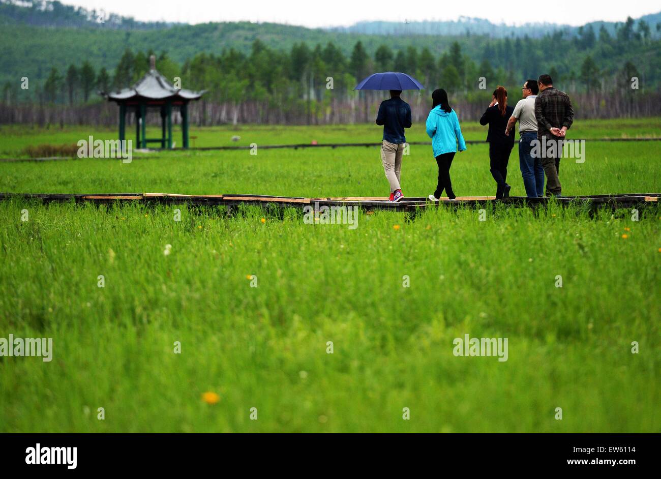 (150618)--NANWENG Fluss, 18. Juni 2015 (Xinhua)--Touristen gehen am Nanweng River National Nature Reserve, Nordost-China Provinz Heilongjiang, 17. Juni 2015 sightseeing. Als das größte Naturschutzgebiet auf dem höchsten Breitengrad in China für Wald-Moor-Feuchtgebiet Ökosysteme in der kalt-gemäßigten Zone gelegen, hält Nanweng River National Nature Reserve die konzentriertesten Marsh Feuchtgebiete in den Wald von Dahinggan Bergen (größere Hinggan-Gebirge).    (Xinhua/Wang Kai) (Yxb) Stockfoto