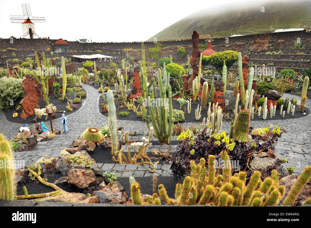 Lanzarote, Kanarische Inseln. Verschiedenen Kakteen wachsen in einem Kaktus- Park, entworfen von dem Knstler Cesar Manrique Stockfotografie - Alamy