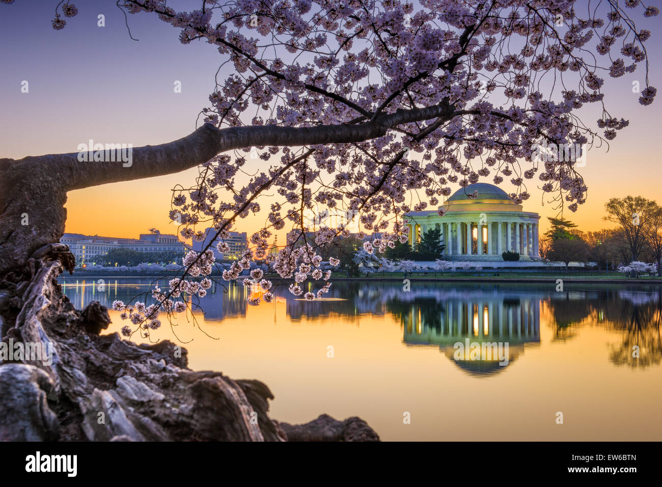 Washington, DC am Jefferson Memorial im Frühjahr. Stockfoto