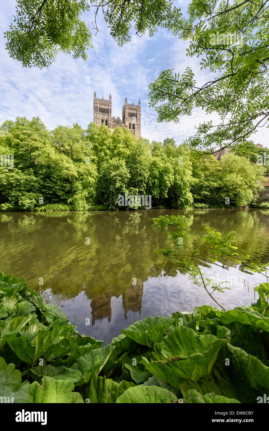 Flusses Wear, Kathedrale von Durham Stockfoto