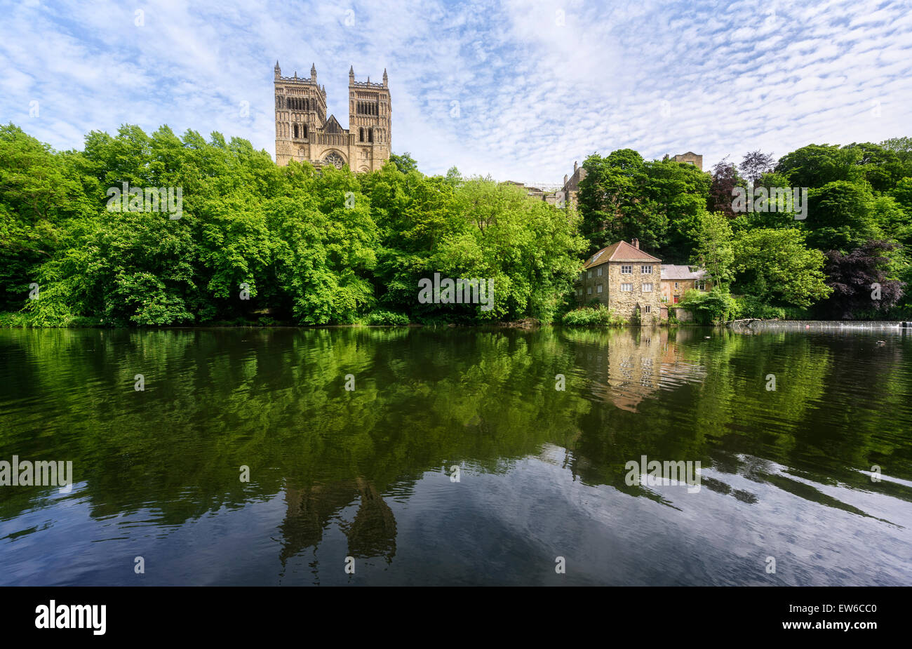Flusses Wear, Durham Kathedrale und die alte Mühle Walken Stockfoto