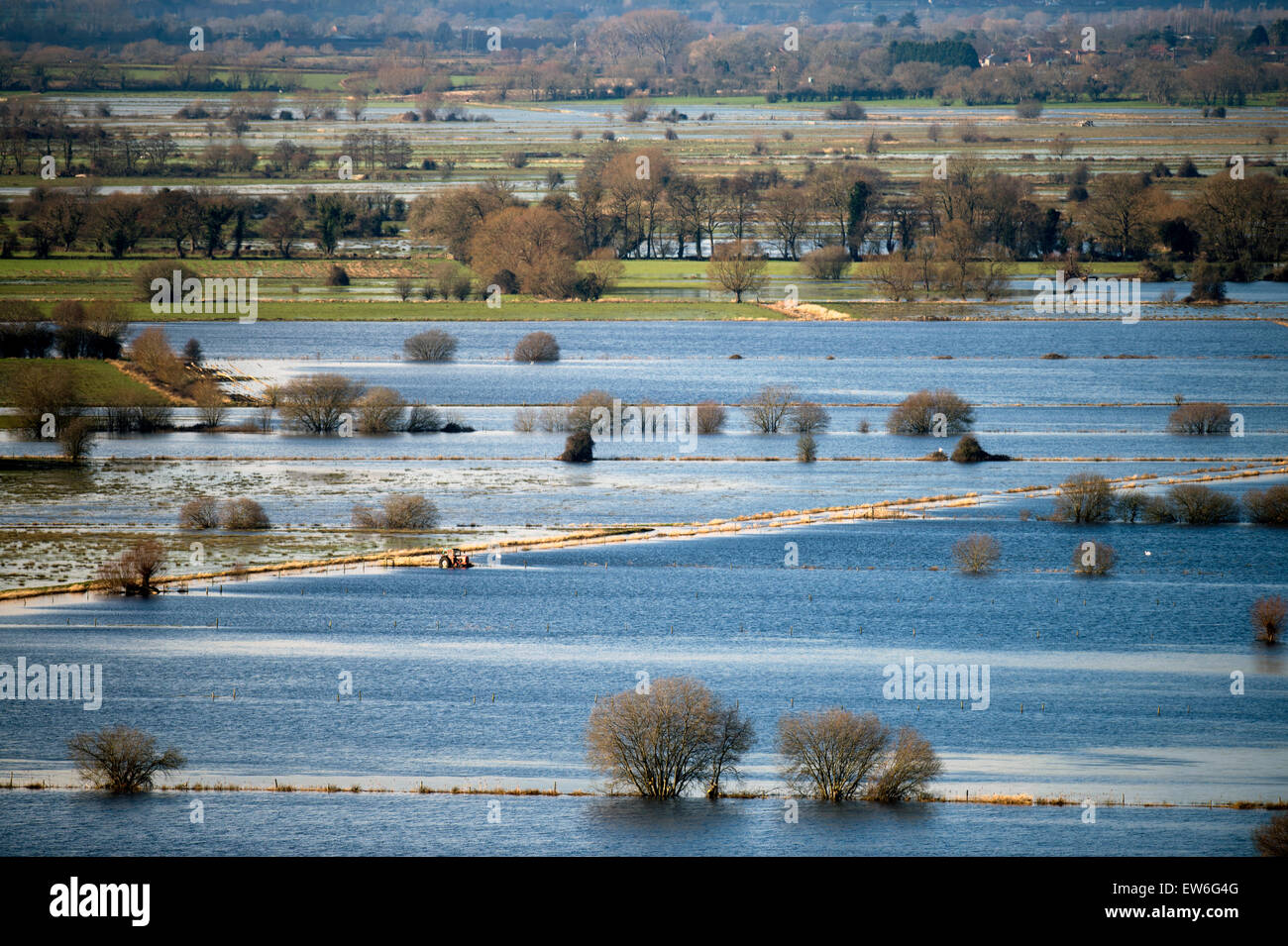 Verbesserung der Wetter hat einige Teile der Somerset Levels die Chance gegeben zu erholen – hier entstehen Felder und Gräben der fl Stockfoto
