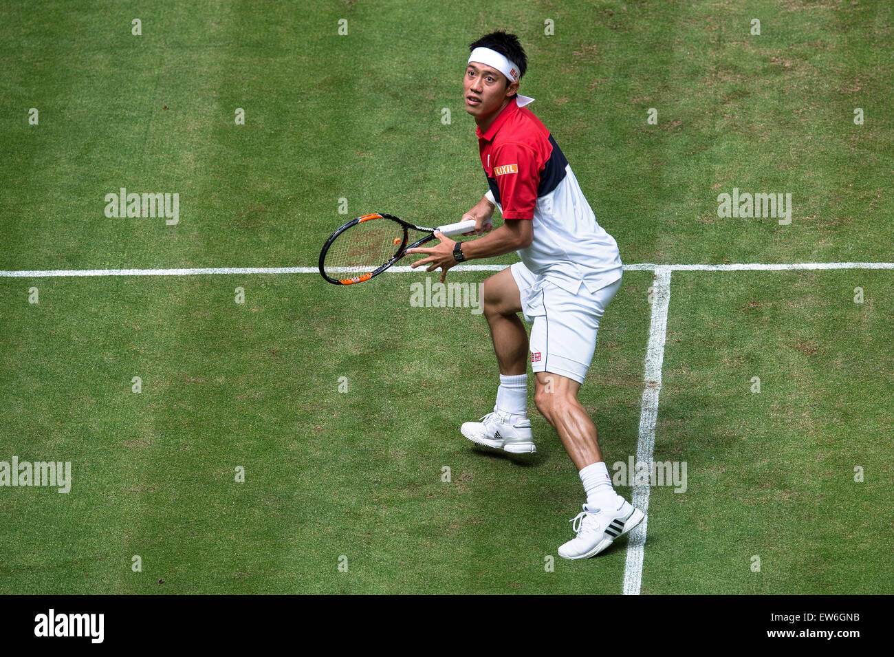 Halle, Deutschland. 18. Juni 2015. Kei Nishikori Japans in Aktion in der Runde der 16 Spiel gegen Dustin Brown Deutschlands während der ATP-Tennisturnier in Halle, Deutschland, 18. Juni 2015. Foto: MAJA HITIJ/Dpa/Alamy Live News Stockfoto