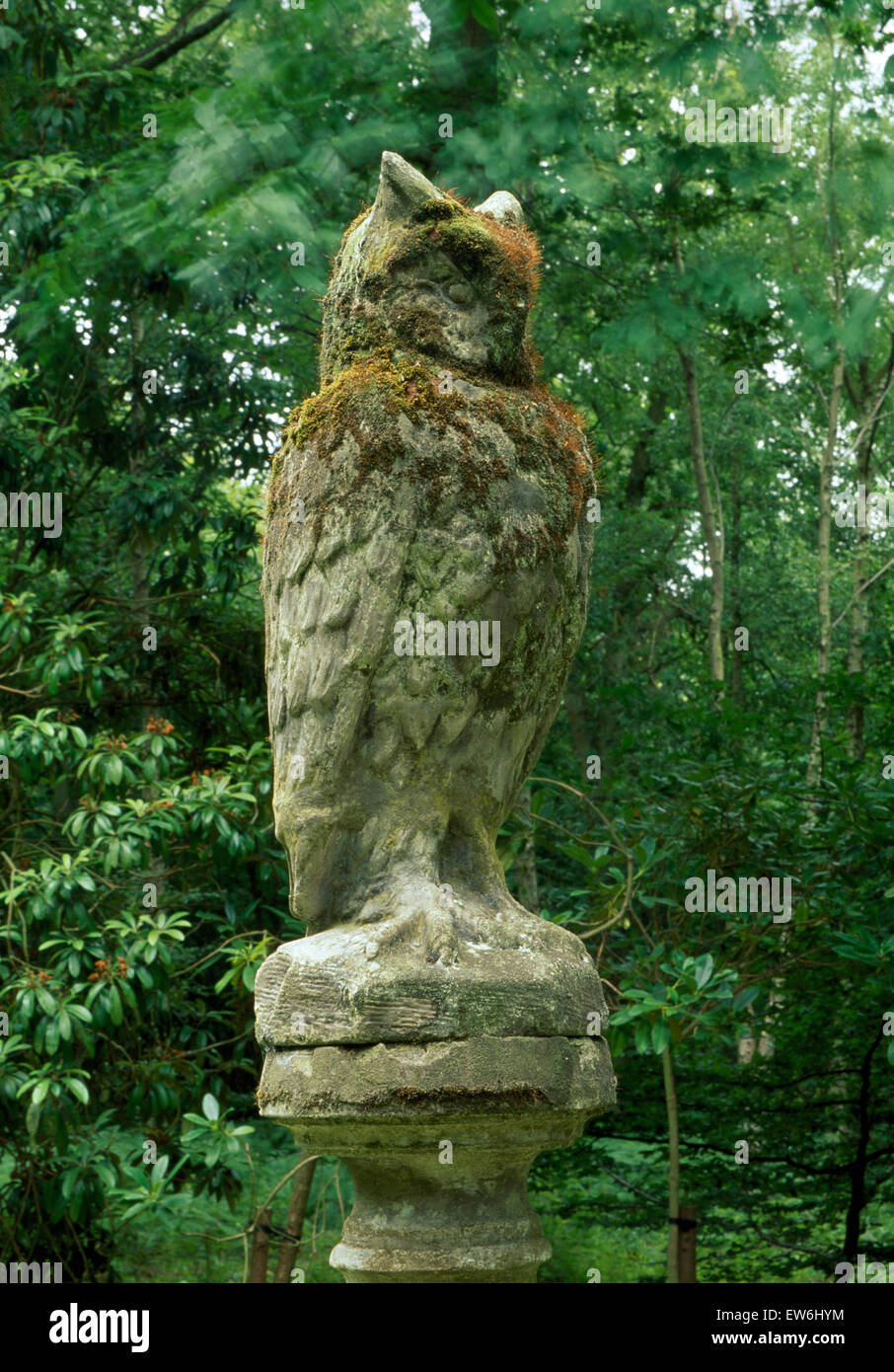 Nahaufnahme einer steinernen Statue einer Eule Stockfoto