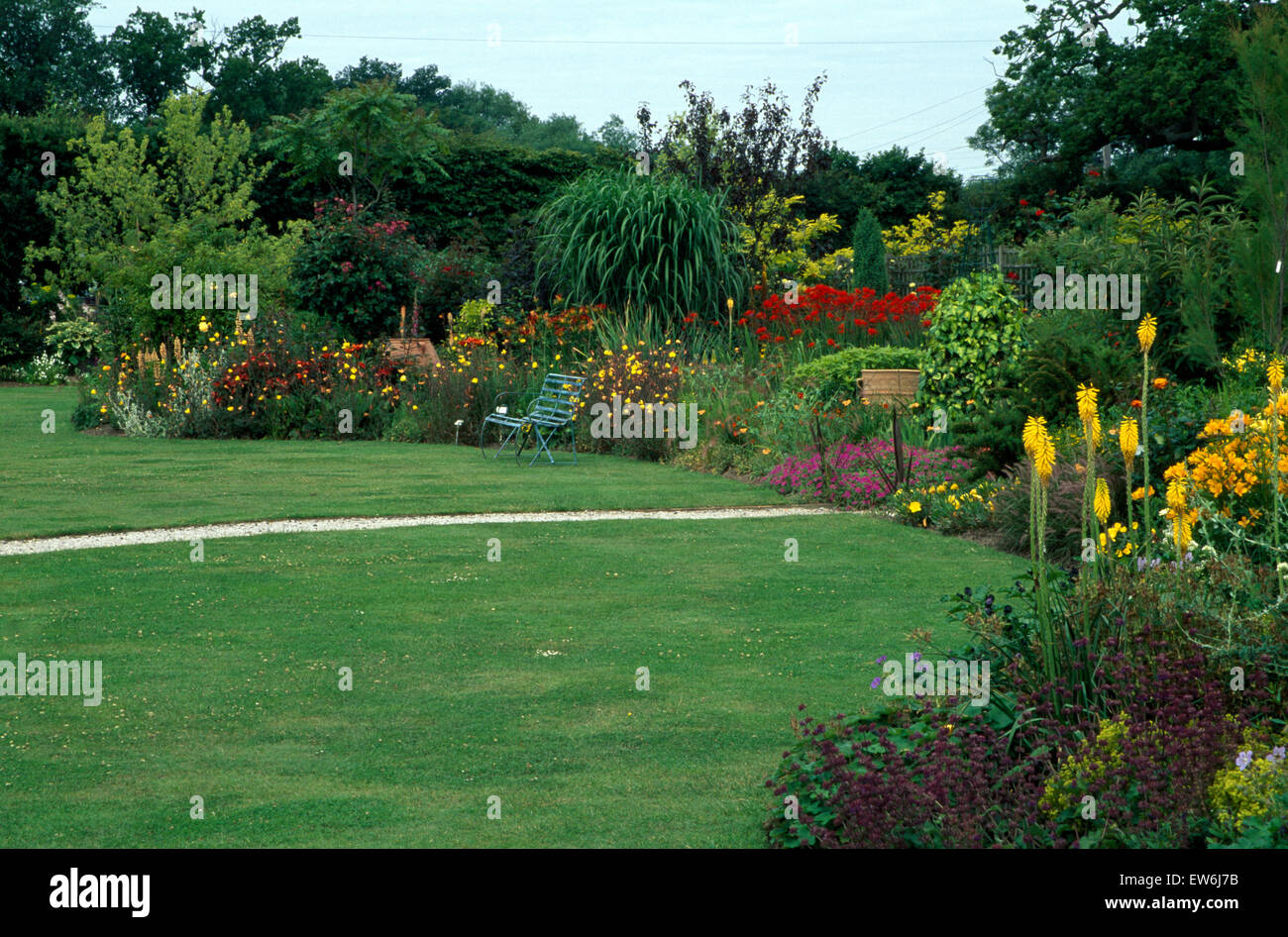 Gelbe Kniphofia im breiten Rand neben Liegewiese im Garten Stockfoto