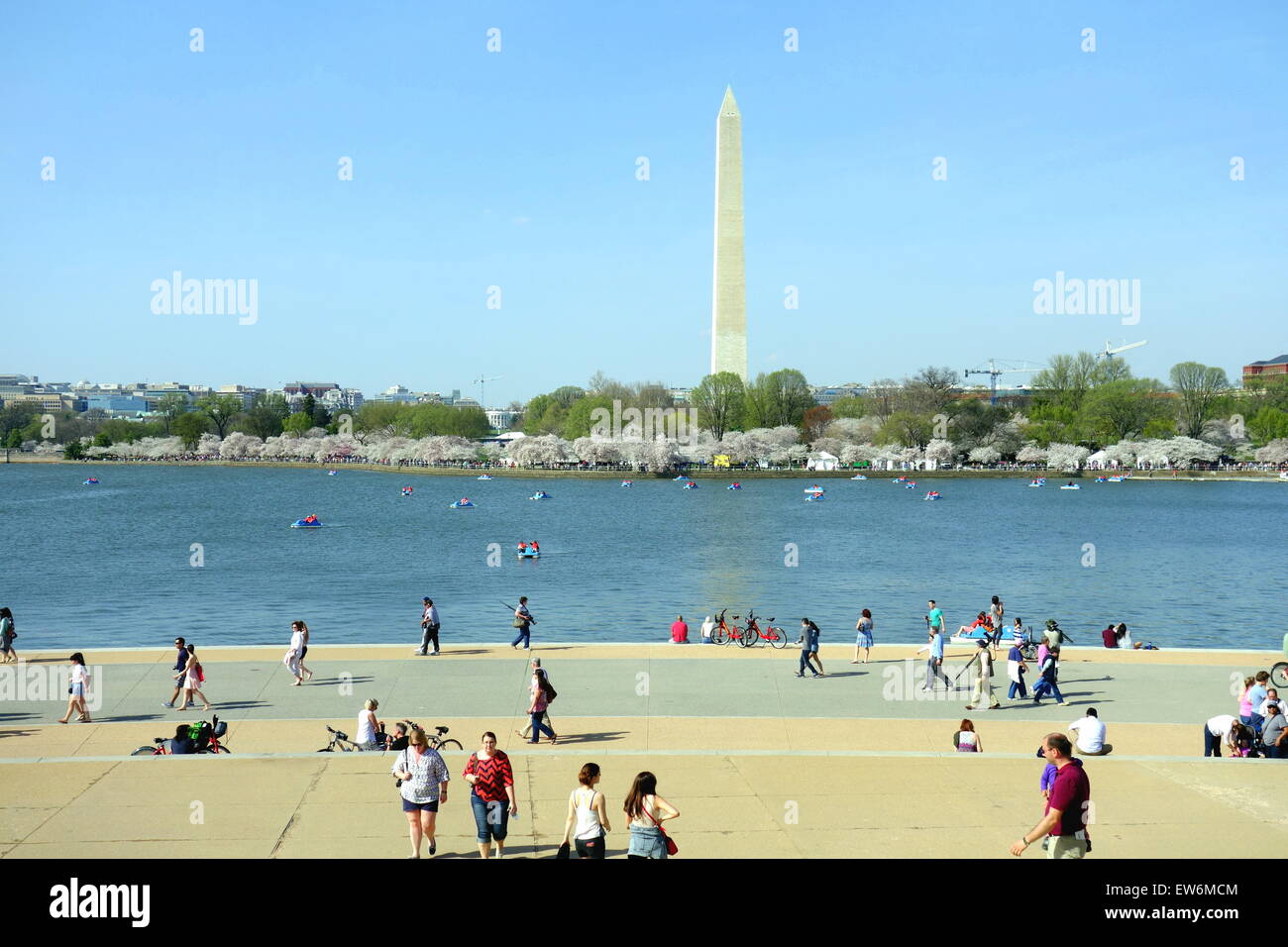 Das Gezeitenbecken in Washington, D.C. Stockfoto