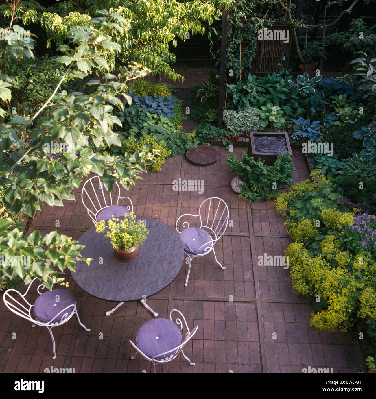 Birdseye Blick auf gut eher Stadtgarten mit Backstein zu ebnen und sattes Grün Alchemilla "Mollis" Stockfoto