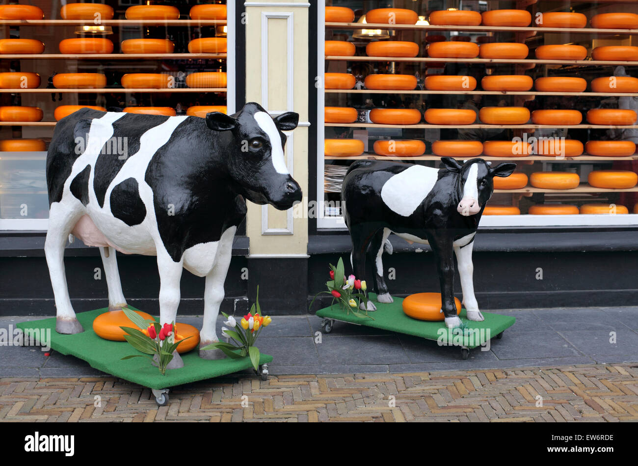 Lebensgroße Modelle von Kuh und Kalb mit Käse Räder außerhalb der Willig Cheese Shop im Marktplatz, Delft, Niederlande Stockfoto