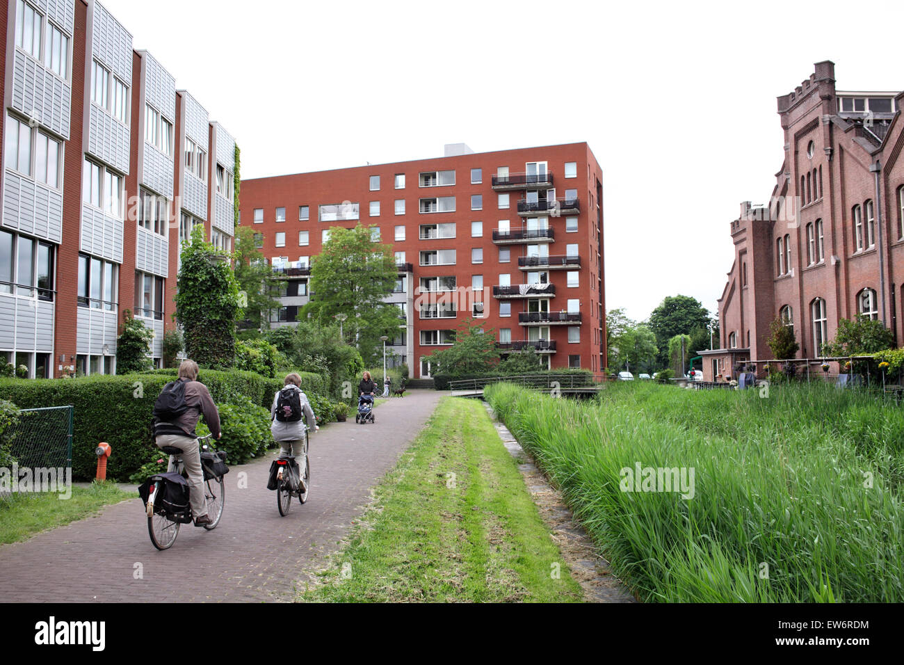 Eine Fußgänger- und Radweg in GWL-Terrein, eine autofreie Wohnsiedlung in Amsterdam. Stockfoto