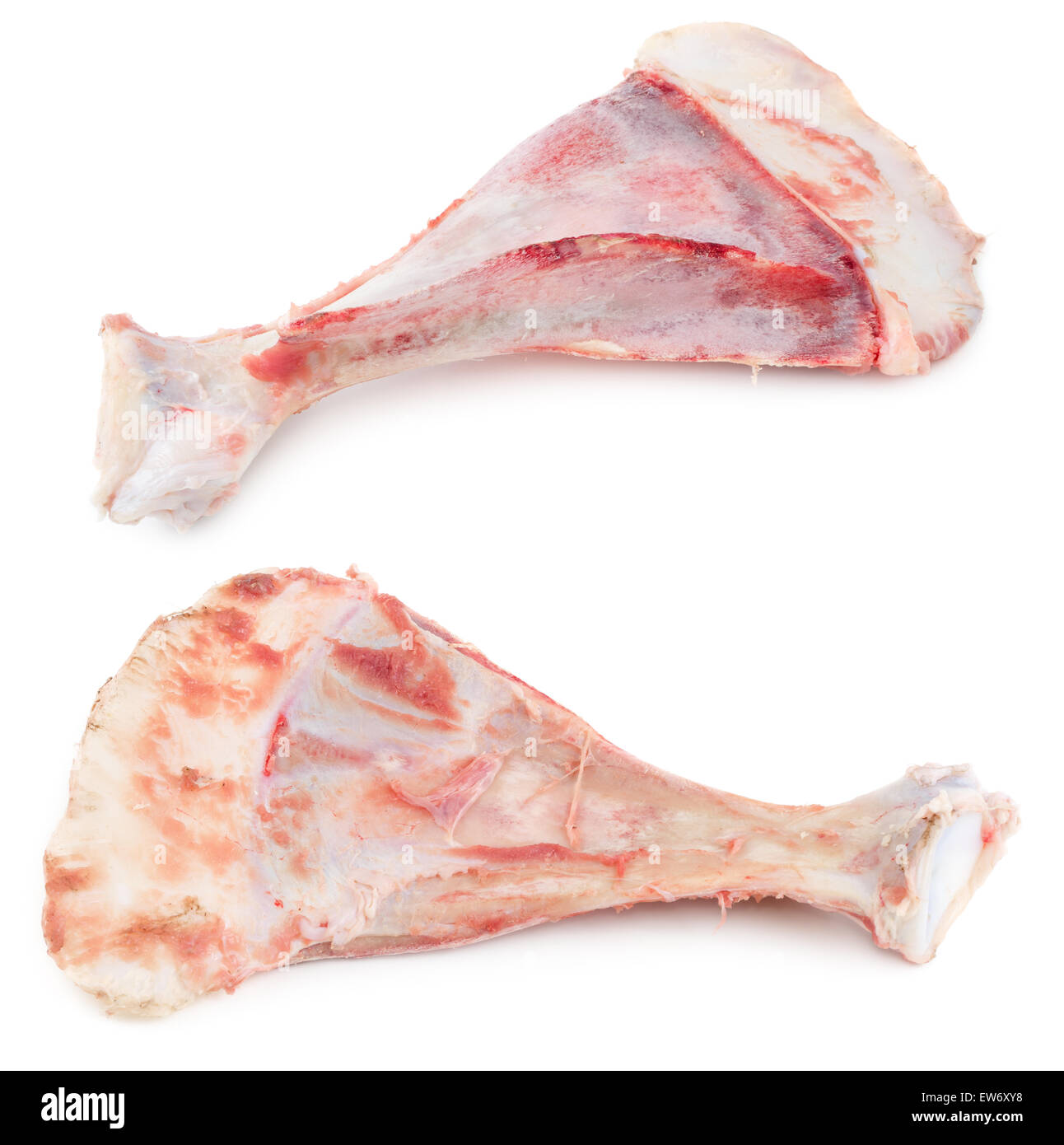 Rohe Hundeknochen isoliert auf weißem Hintergrund Stockfoto