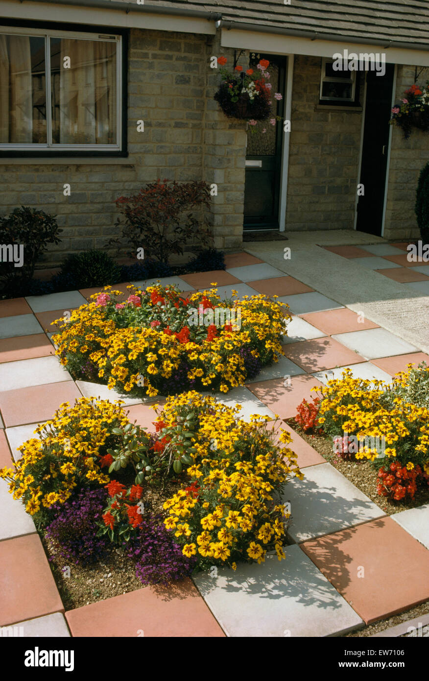 Französische Ringelblumen in roten und weißen Pflaster vor Garten ein siebziger Jahre wachsen Vorstadthaus Stockfoto