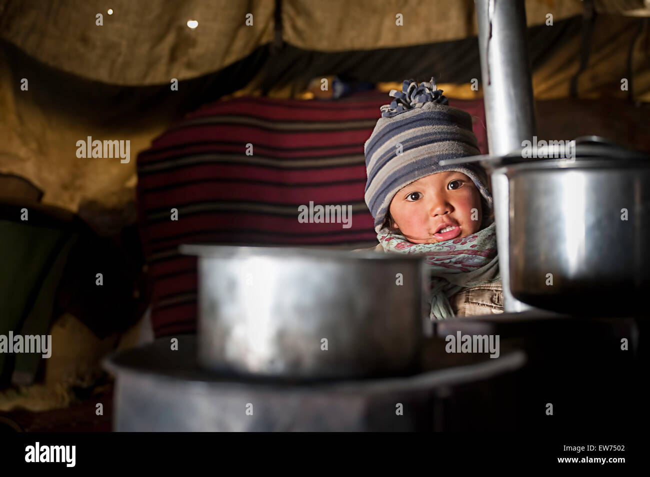 Changpa junge Mädchen im Zelt Küche Stockfoto