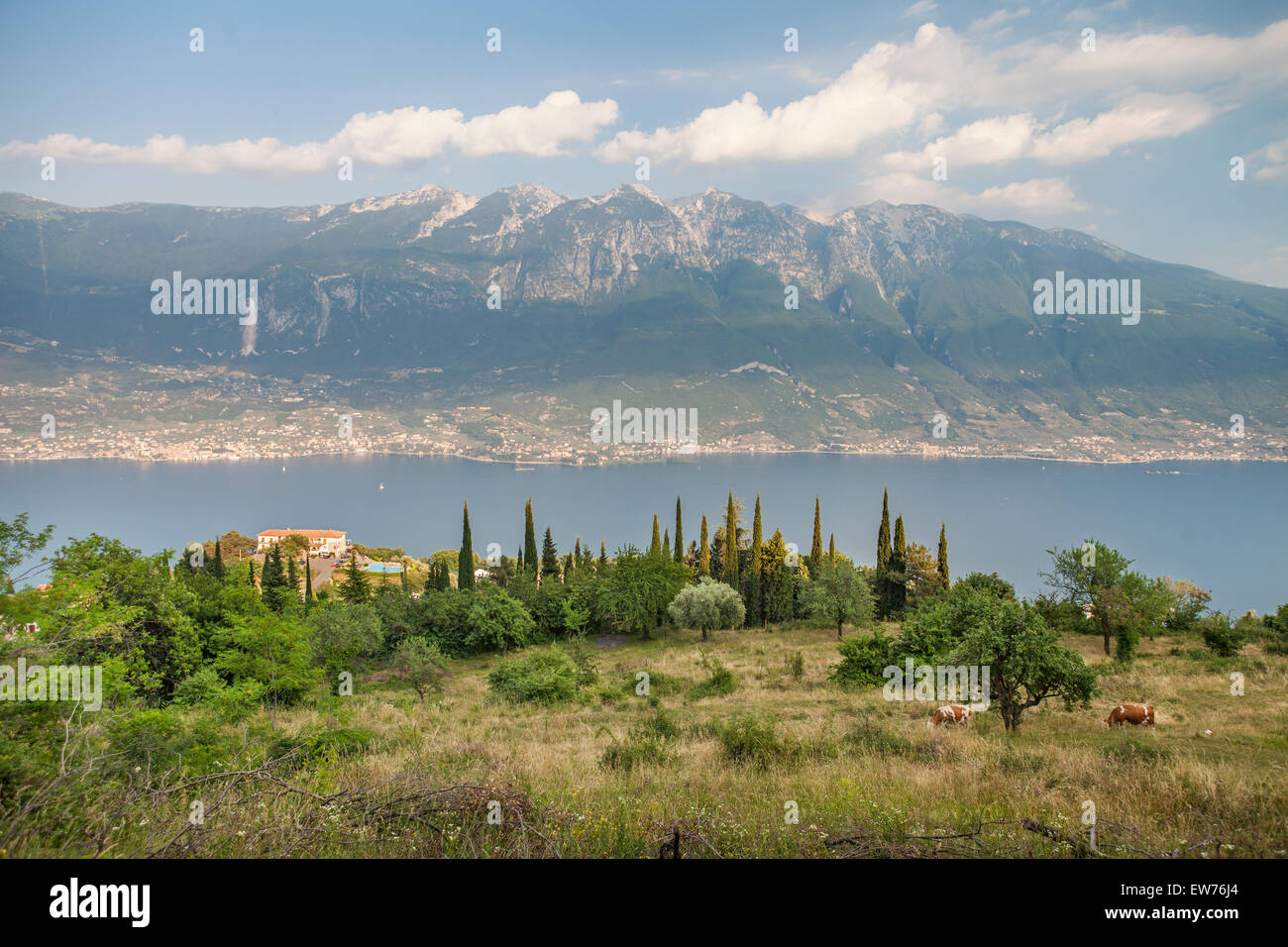 Blick von Pieve di Tremosine, Gardasee und Monte Baldo, Brescia, Italien Stockfoto