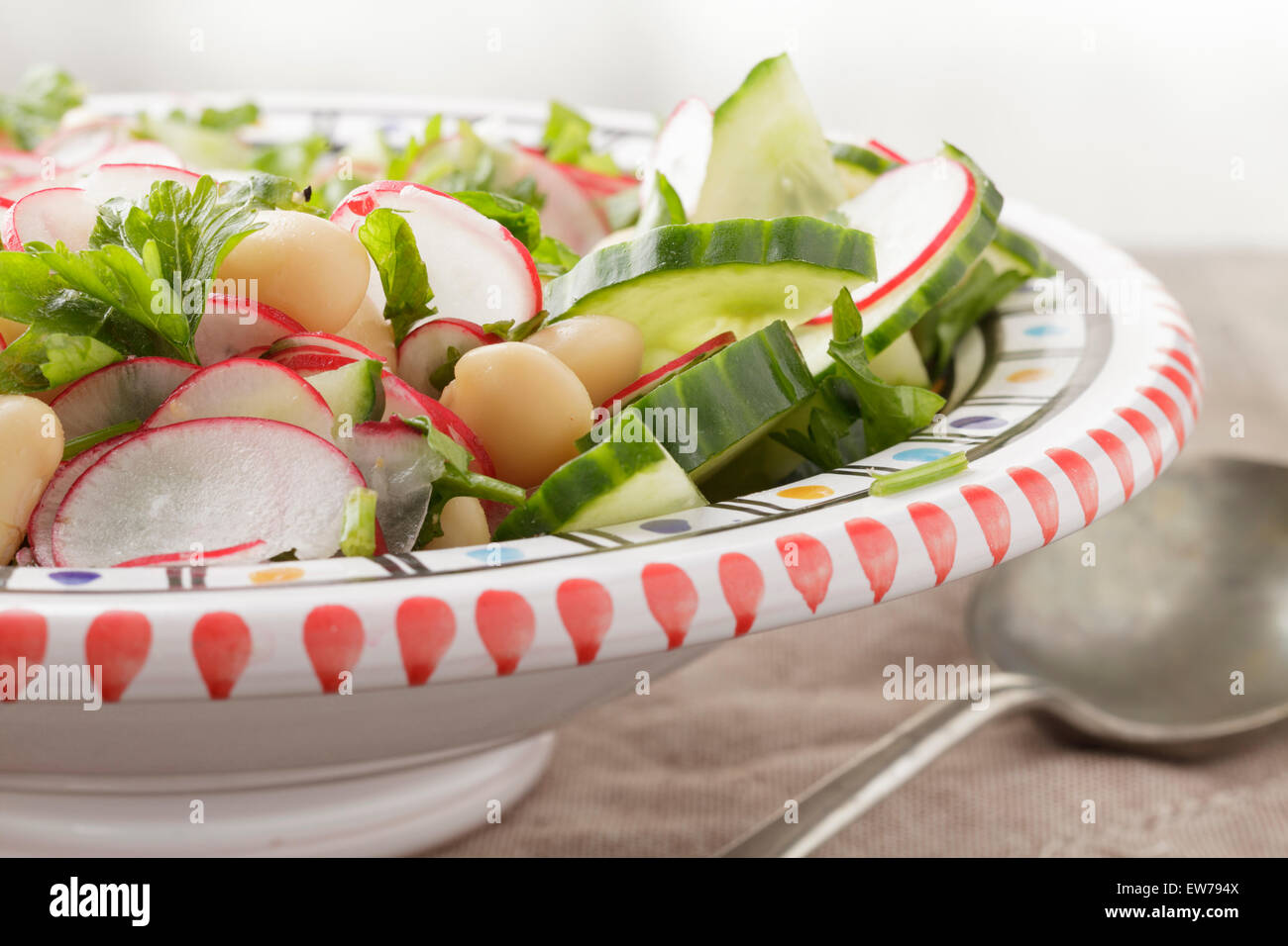 Gurken-Rettich und Butterbean Salat mit Petersilie und Minze Stockfoto