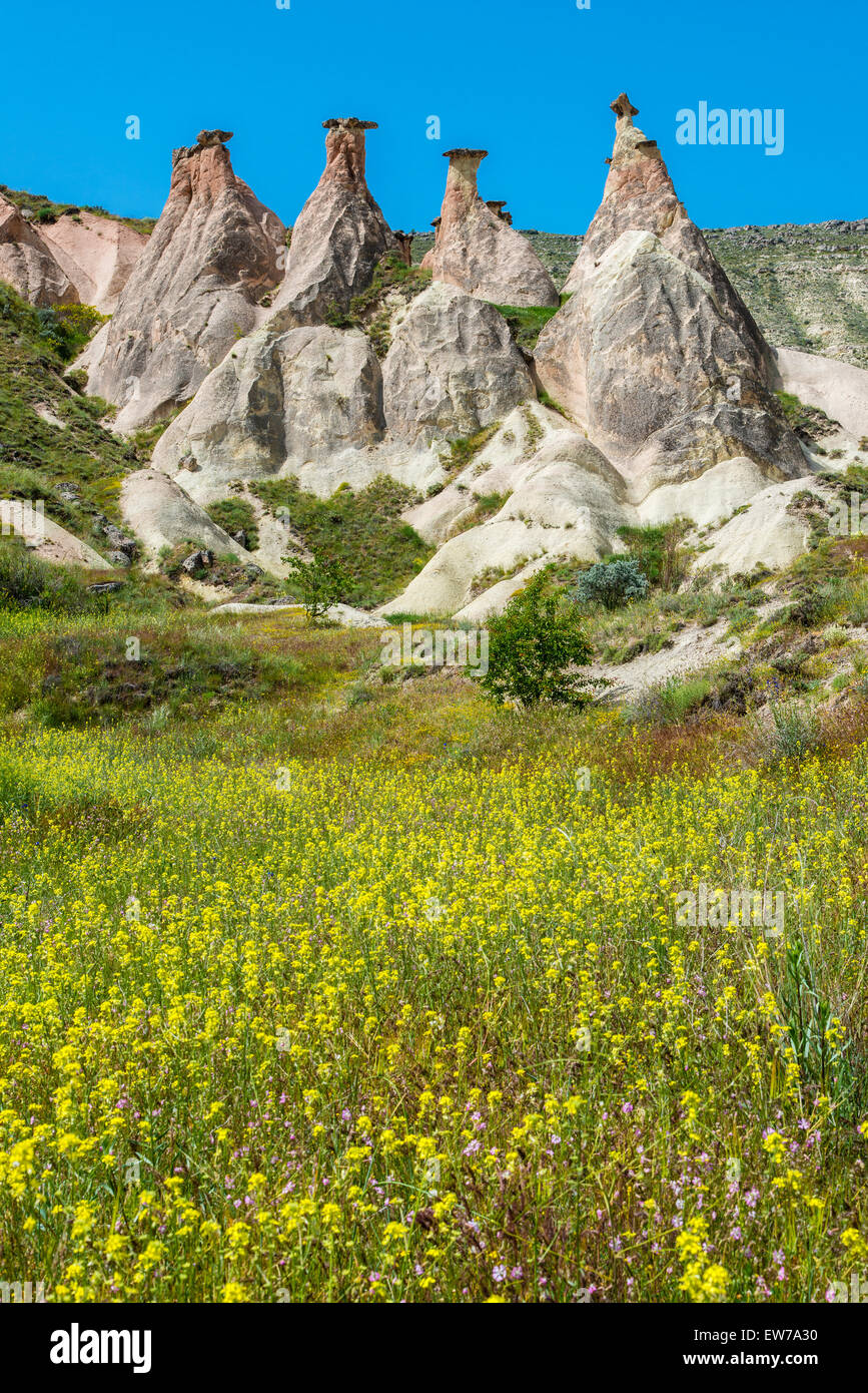 Typische Fee Schornsteine Landschaft im Frühling, Pasabagi, Kappadokien, Türkei Stockfoto