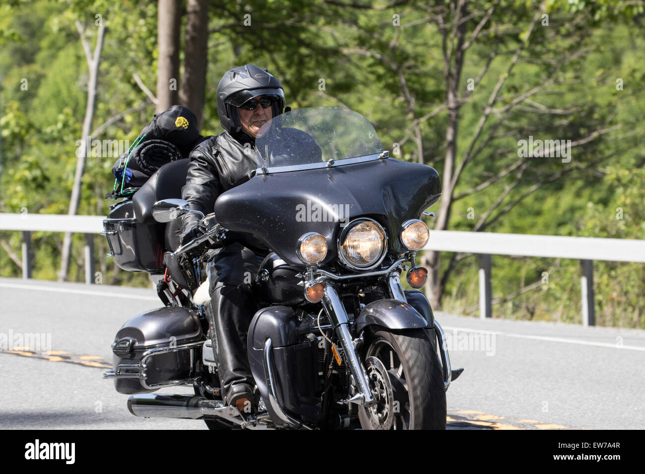 Harley Davidson Motorrad Motorrad. Stockfoto