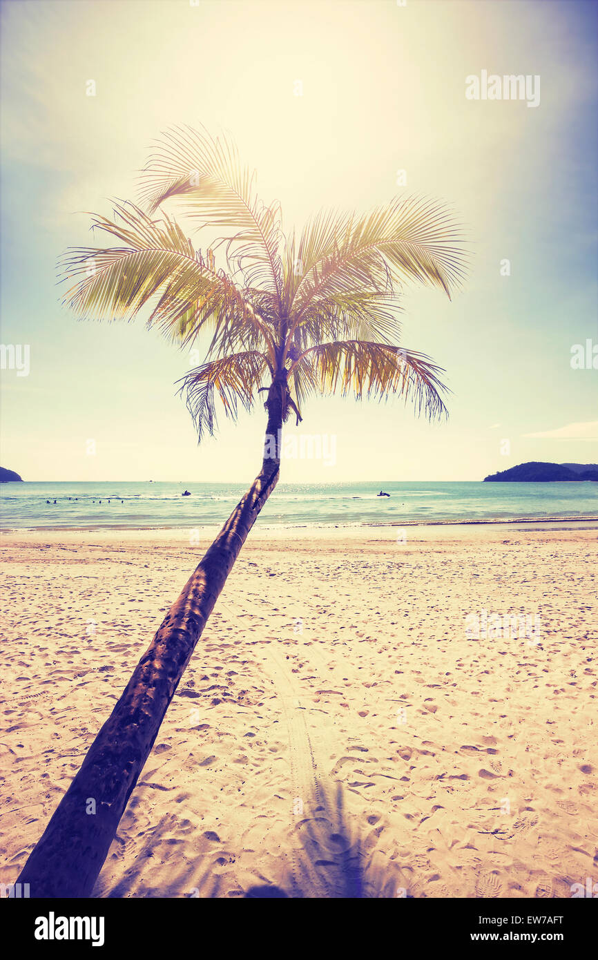 Vintage stilisierte tropischen Strand mit Palme bei Sonnenuntergang. Stockfoto