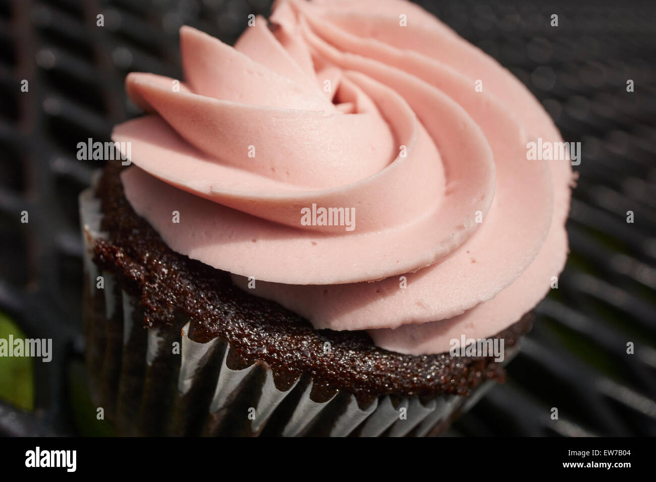 Schokolade Himbeer Cupcake Aus Einem Imbisswagen Lancaster Pennsylvania USA Schokolade Himbeer Cupcake Aus Einem Imbisswagen Lancaster Pennsylvania USA