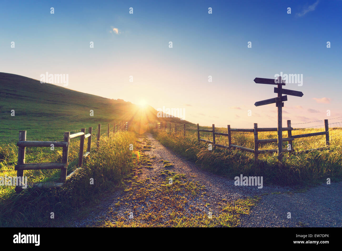 Wegweiser aus Holz in der Nähe von einem Pfad und Sonnenstrahlen Stockfoto