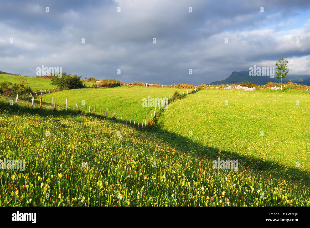 Wiesen und Hügeln am Frühling Stockfoto